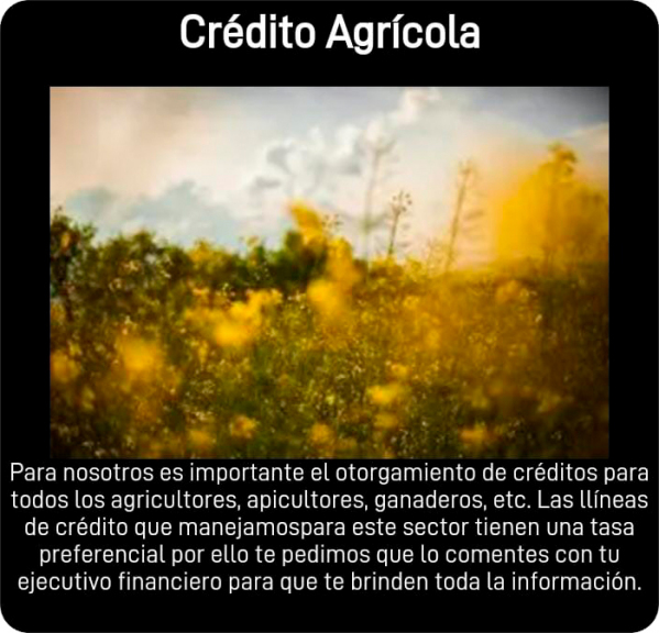 Patrimonio y Sociedas Crediticia 16